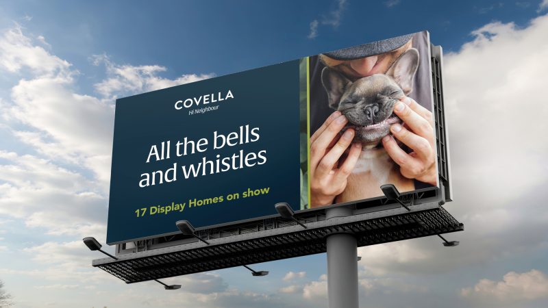 Covella11 image