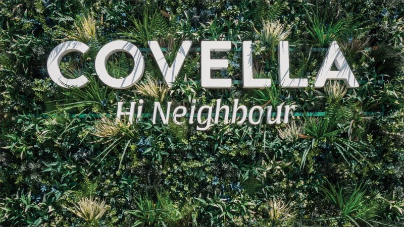 Covella2 image